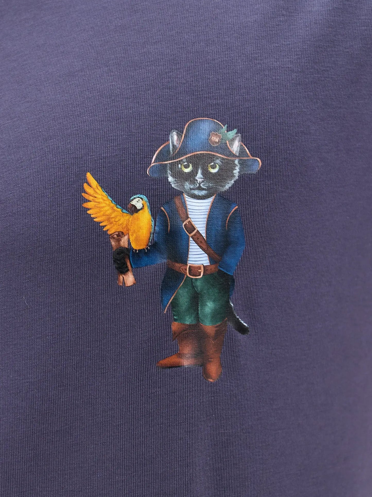 Grey Printed T-shirt PIRAT CAT - T-shirt