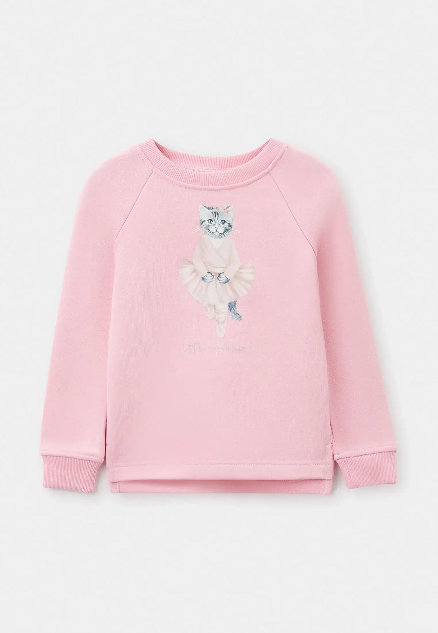 Pink Printed sweatshirt BALLET CAT - Hoodie & sweatshirt