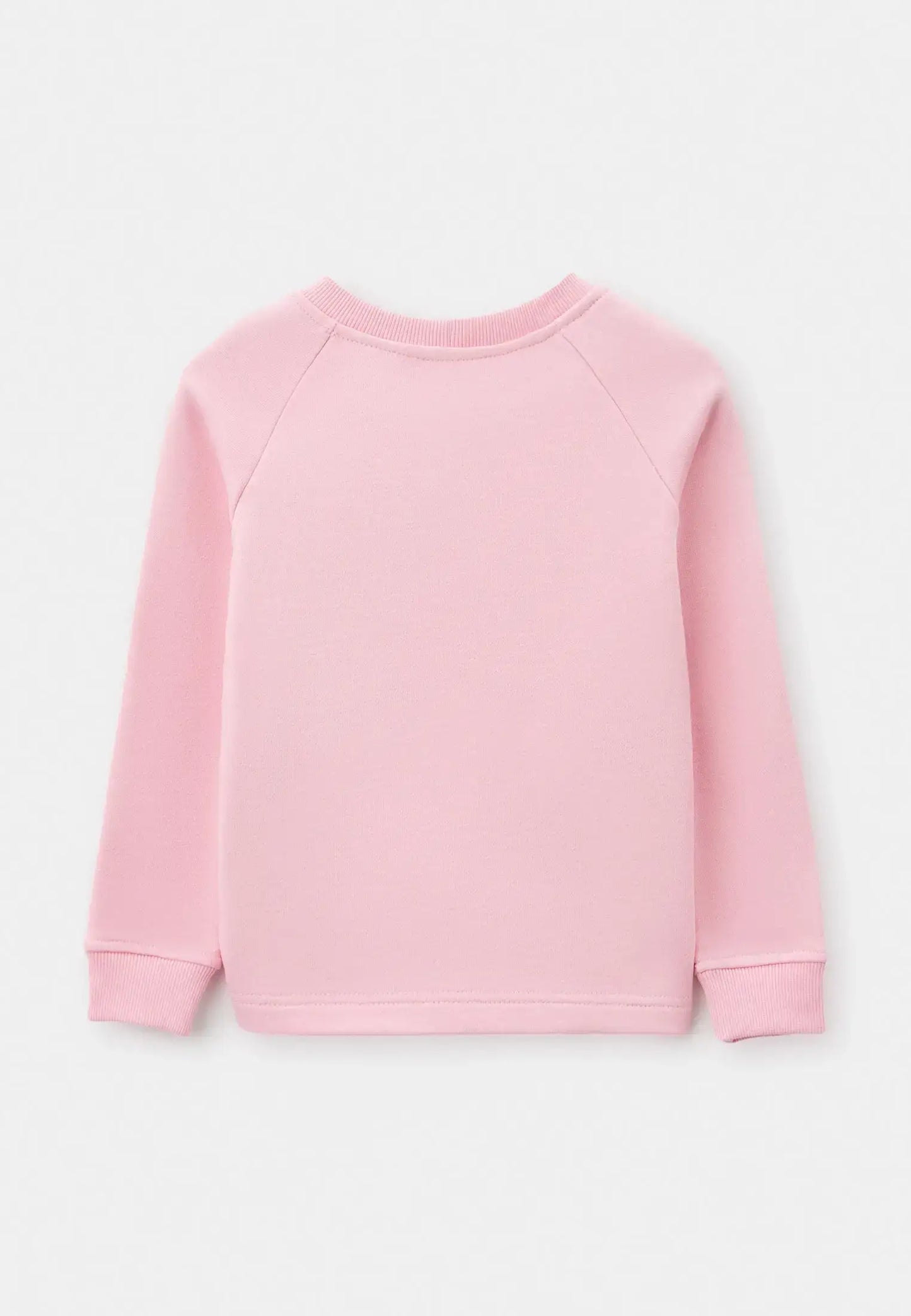 Pink Printed sweatshirt BALLET CAT - Hoodie & sweatshirt