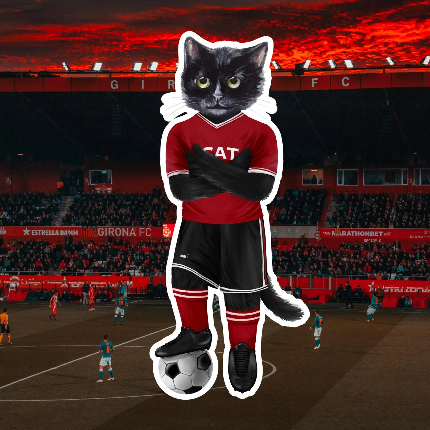 Football Cat | CAT by maniita lacitta