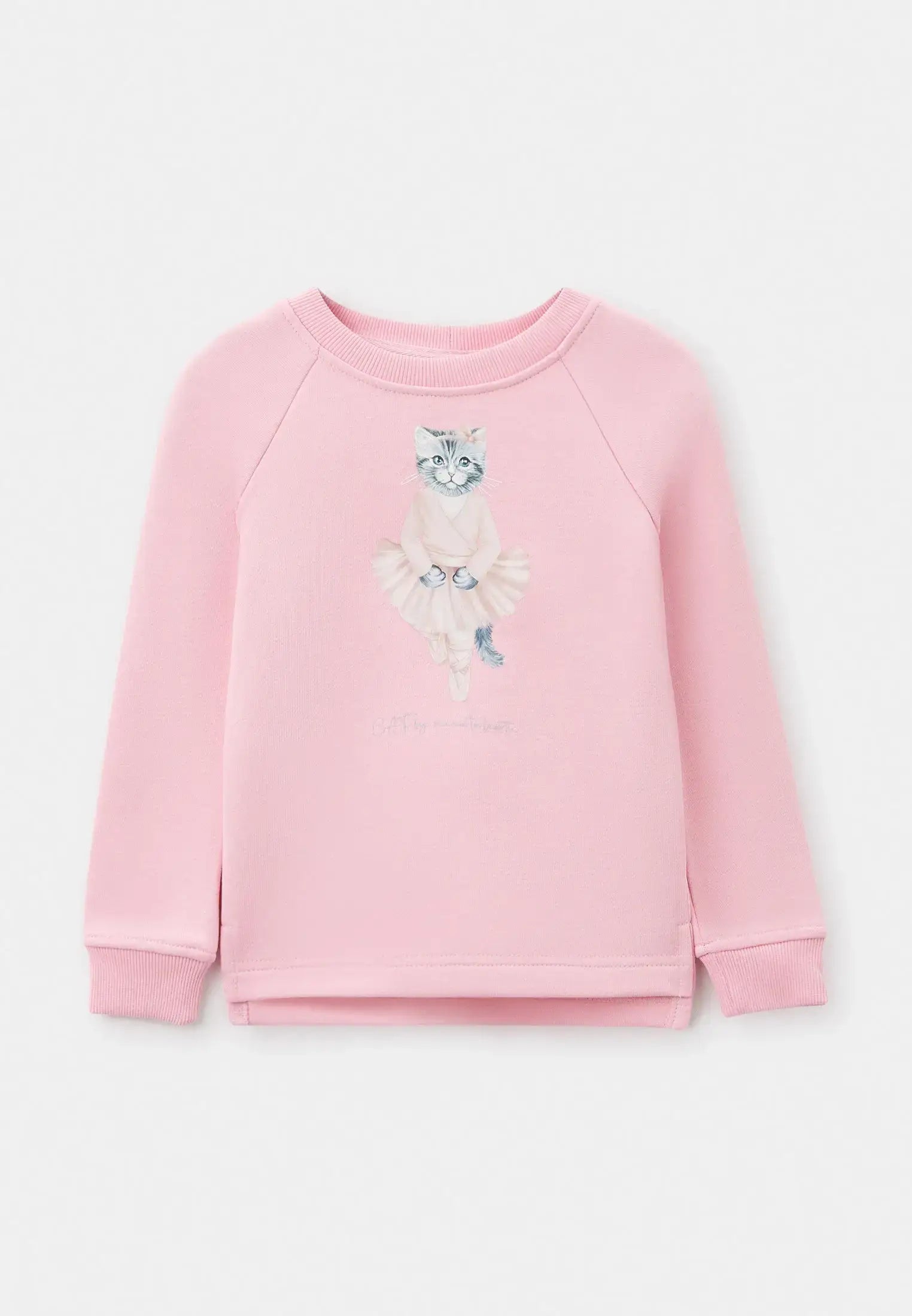 Pink Printed sweatshirt BALLET CAT - Hoodie & sweatshirt