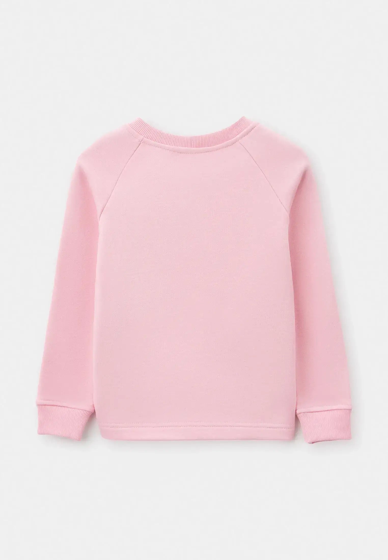 Pink Printed sweatshirt BALLET CAT - Hoodie & sweatshirt
