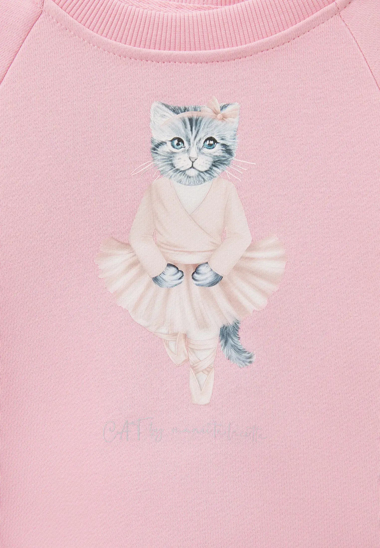 Pink Printed sweatshirt BALLET CAT - Hoodie & sweatshirt